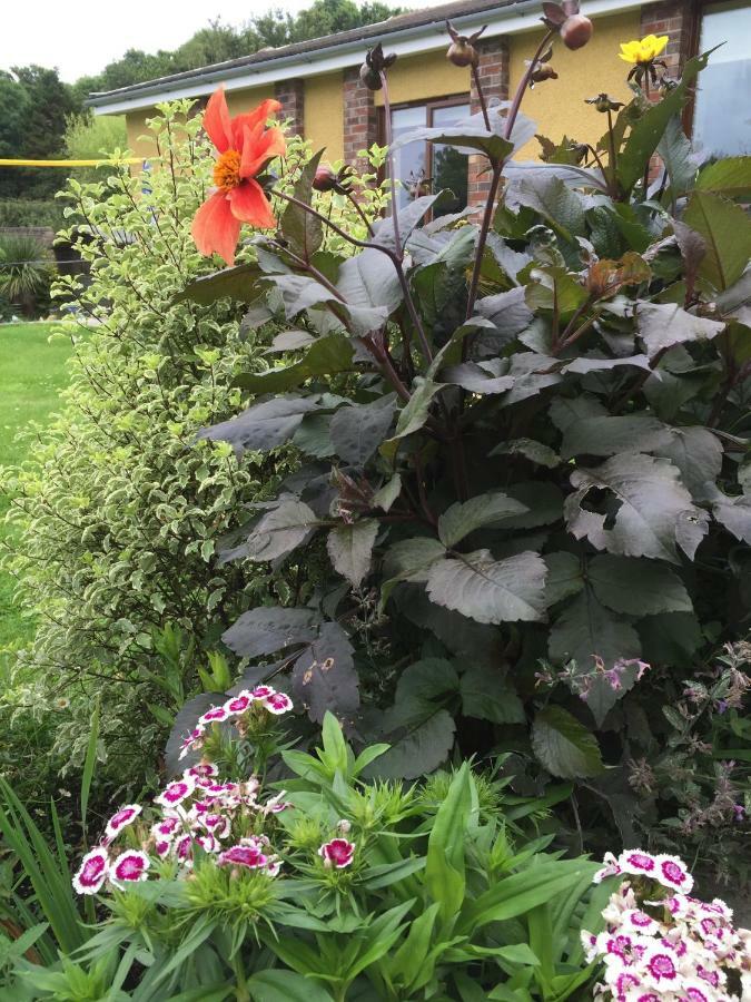 ザ・マンブルズOne Slade Gardensアパートメント エクステリア 写真
